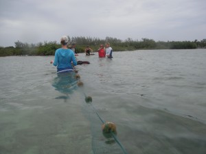 Setting up the net in Half Sound.
