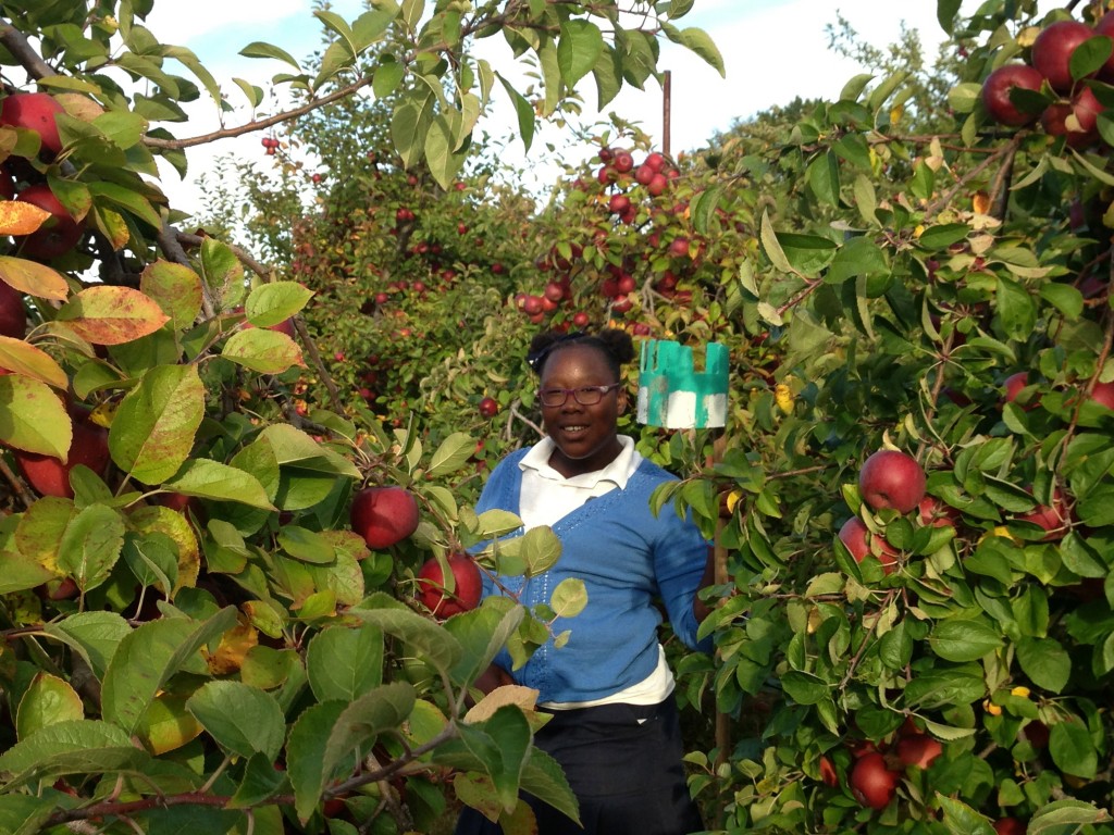 Demetria Humes enjoyed apple picking in Harvard, MA and soaking in the New England fall