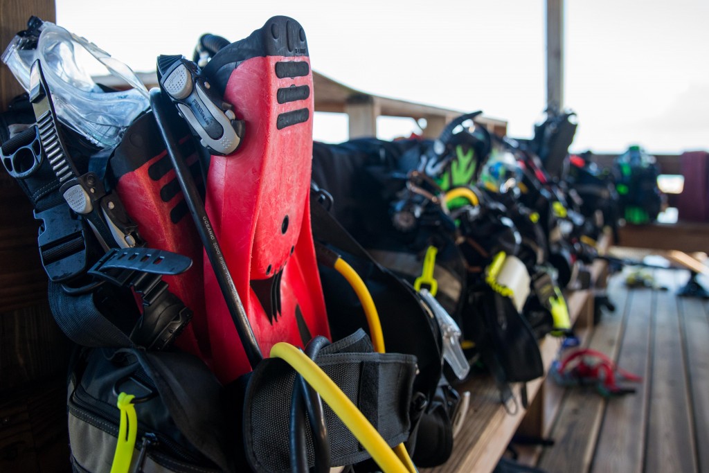 Flippers, masks, and BCDs -all set up before breakfast waiting in the boathouse