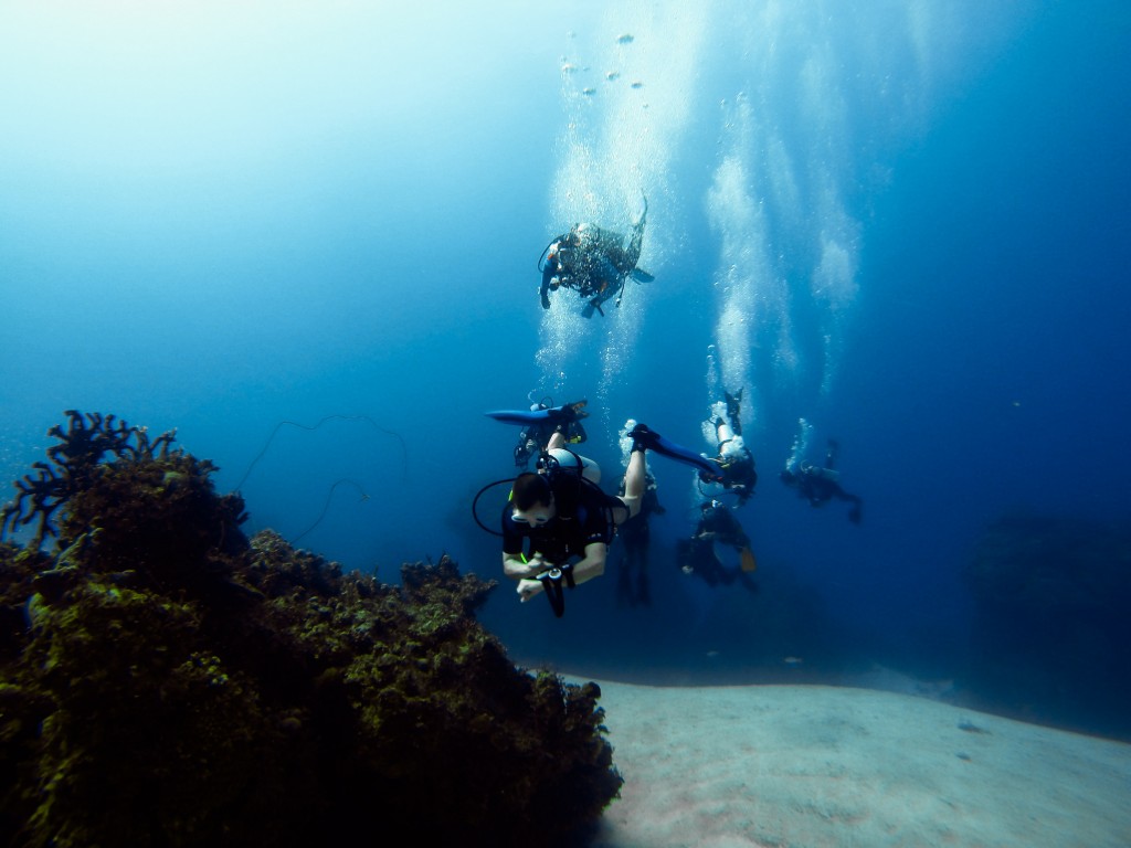 Swimming along the patch reefs west of The Cage