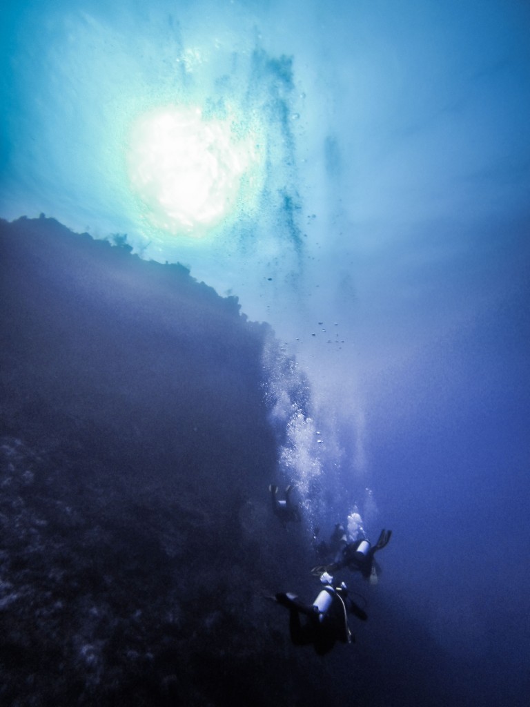 Swimming along the wall of the Exuma sound at a maximum dive depth of 110 ft