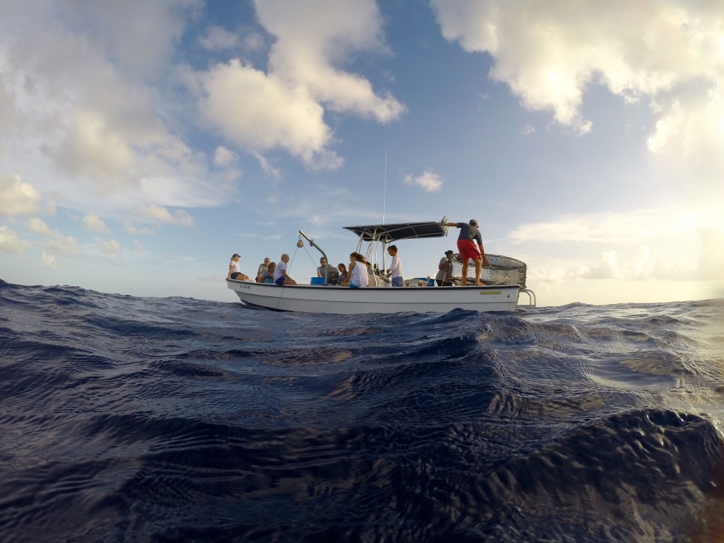 The Deepsea Survivorship team pulls in long lines over the Exuma Sound.