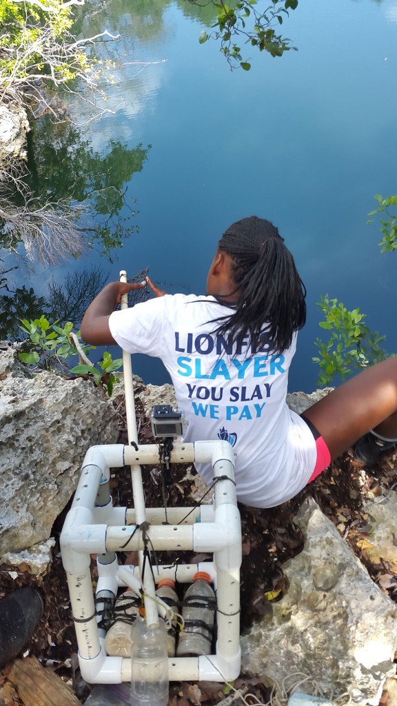 Andrieka Burrows at work collecting data on inland ponds