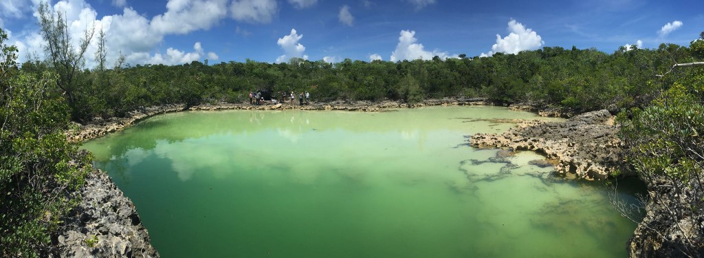 Island School students in the field assessing a pond and the life within